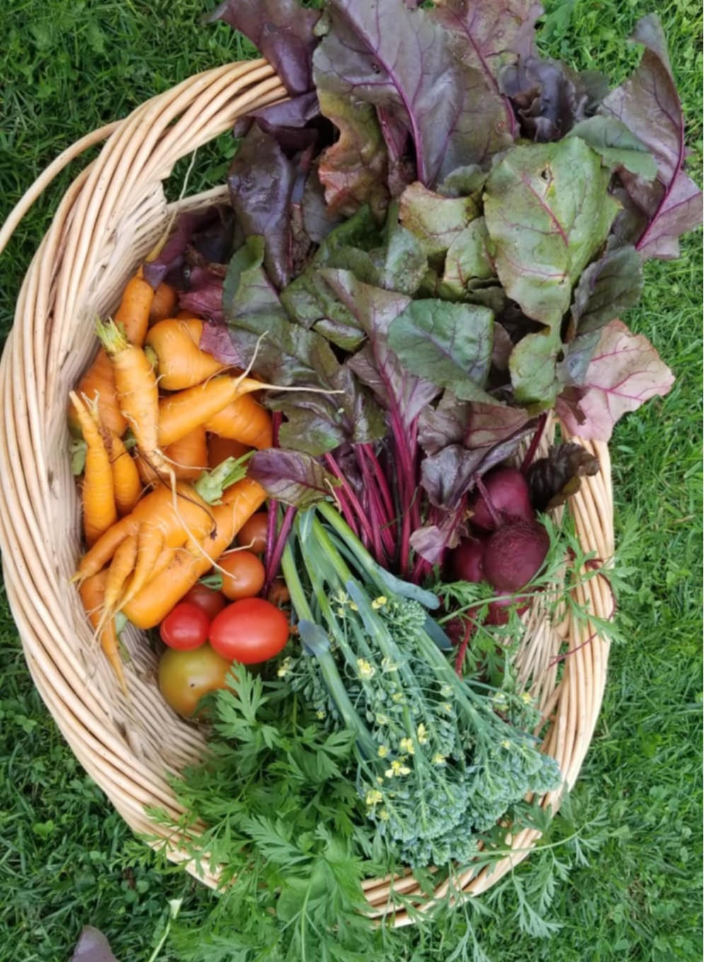 Our 2020 Harvest.