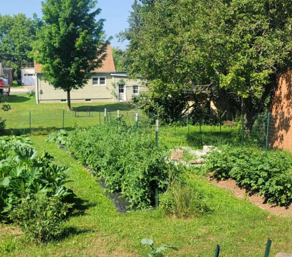 Our Garden from 2020.