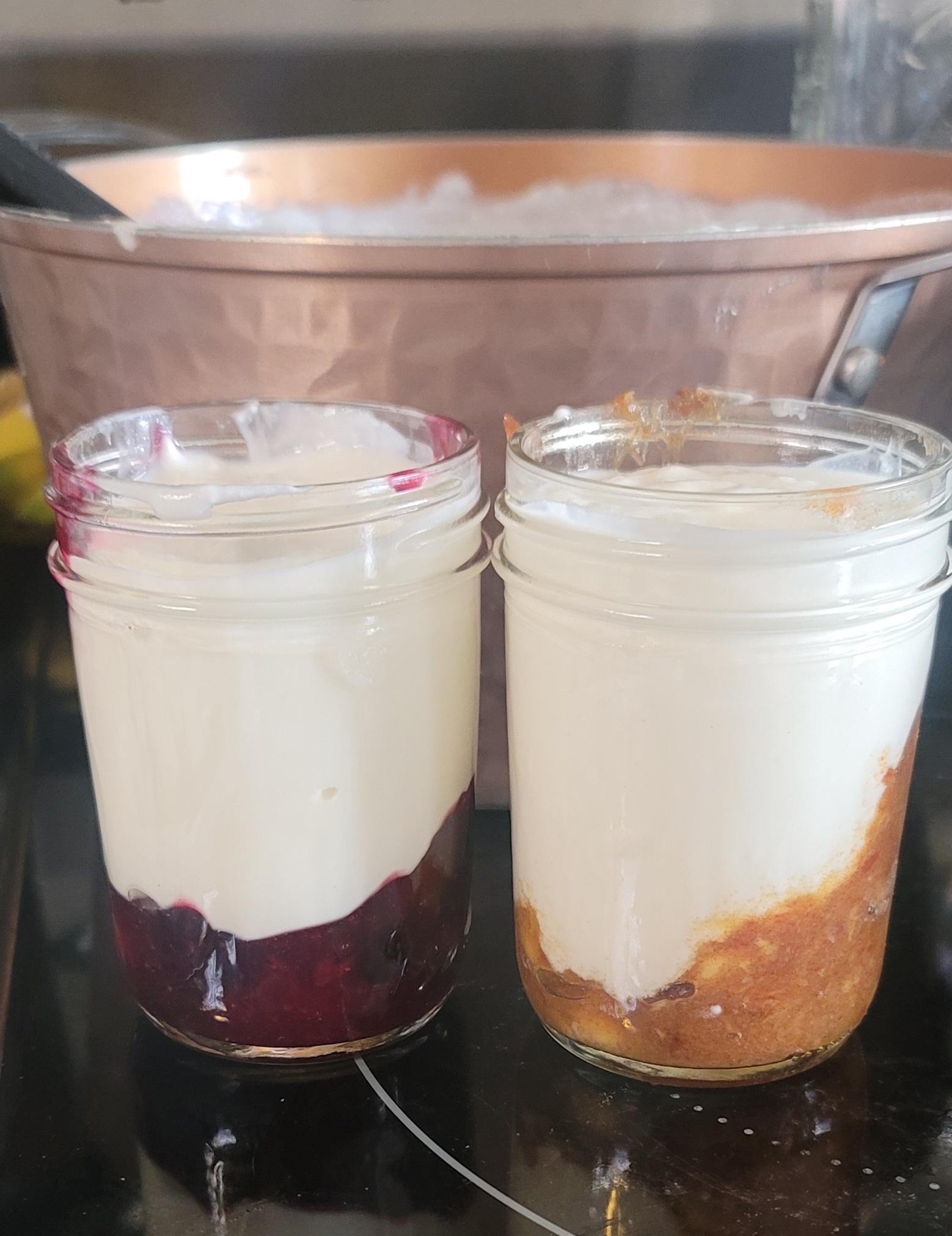 Fruit on the Bottom Yogurt